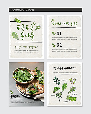 PSD 템플릿 웹템플릿 채소 사람없음 세트 바구니 다양 돌나물 머위나물 봄나물 쑥 봄동 카드뉴스 장방형 이미지템플릿 다수 나물 파일형식