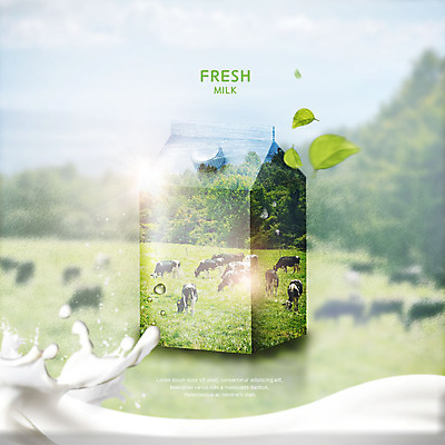 PSD 나무 편집이미지 여러마리 자연 나뭇잎 초원 사람없음 우유 물방울 신선 소 젖소 이미지편집 식물 다수 잎 포유류 유제품 생태계 파일형식