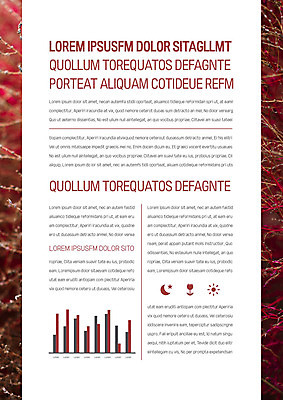 템플릿 꽃 내지 그래프 사람없음 빨간색 태양 달 나뭇가지 프레젠테이션 문서템플릿 서식 레이아웃 문서 제안서 이미지템플릿 AI파일 자연요소 나무 식물 컬러 파일형식 벡터