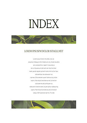 도형 템플릿 내지 나뭇잎 사람없음 사각형 프레젠테이션 문서템플릿 서식 레이아웃 문서 제안서 목차 이미지템플릿 AI파일 잎 파일형식 벡터