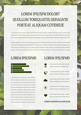 도형 식물 템플릿 내지 그래프 나뭇잎 사람없음 사각형 프레젠테이션 문서템플릿 서식 레이아웃 문서 제안서 이미지템플릿 AI파일 잎 파일형식 벡터