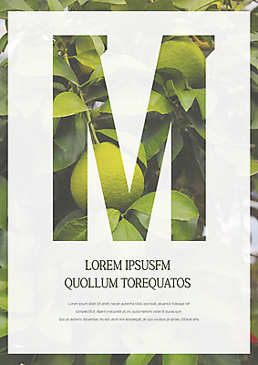 템플릿 표지 과일 나뭇잎 사람없음 초록색 과일나무 프레젠테이션 문서템플릿 서식 레이아웃 문서 제안서 M 이미지템플릿 AI파일 나무 알파벳 컬러 잎 파일형식 벡터