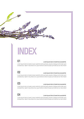 템플릿 꽃 내지 사람없음 보라색 프레젠테이션 문서템플릿 서식 레이아웃 문서 제안서 라벤더 목차 이미지템플릿 AI파일 식물 컬러 허브 파일형식 벡터
