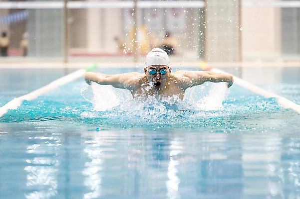 포토 JPG 남자 수영장 실내 한명 상반신 20대 성인 취미 앞모습 한국인 접영 성인남자한명만 실내수영장 국내포토 1 뷰포인트 사람 동양인 청년 내부 수영 남자한명만 성인남자만 파일형식
