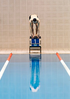 포토 JPG 전신 남자 수영장 실내 한명 서기 20대 성인 취미 앞모습 한국인 준비자세 스타트대 성인남자한명만 실내수영장 국내포토 1 뷰포인트 포즈 모션 사람 동양인 청년 내부 준비 수영용품 남자한명만 성인남자만 파일형식