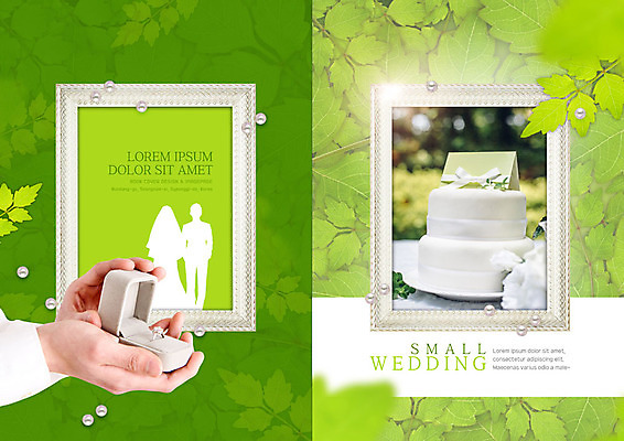 PSD 나무 템플릿 표지디자인 북디자인 손 커플 출판디자인 표지 남자 액자 결혼 북커버 사람 팜플렛 성인 신체부위 웨딩케이크 결혼반지 초대장 진주 이미지템플릿 식물 관계 카드_감사 이벤트 케이크 반지 보석 파일형식