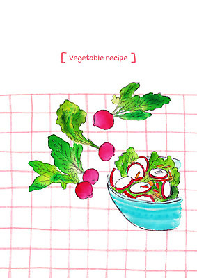 PSD 그릇 채소 일러스트 사람없음 여러개 샐러드 비트 국내일러스트 식기 음식 다수 파일형식