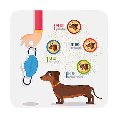 동물 손 일러스트 한손 마스크 한명 신체부위 반려동물 개 강아지 질병 눈병 반려 피부염 원격의료 국내일러스트 AI파일 1 포유류 의학 사람 진료 피부질환 원격 파일형식 벡터