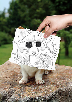 PSD 편집이미지 한마리 손 종이 한명 들기 신체부위 여름 선글라스 바위 그림 웰시코기 이미지편집 1 계절 안경 모션 사람 돌_바위 개 파일형식