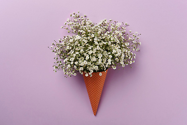 포토 JPG 스튜디오촬영 꽃 꽃다발 백그라운드 실내 사람없음 안개꽃 아이스크림콘 국내포토 식물 내부 콘 한해살이풀 파일형식