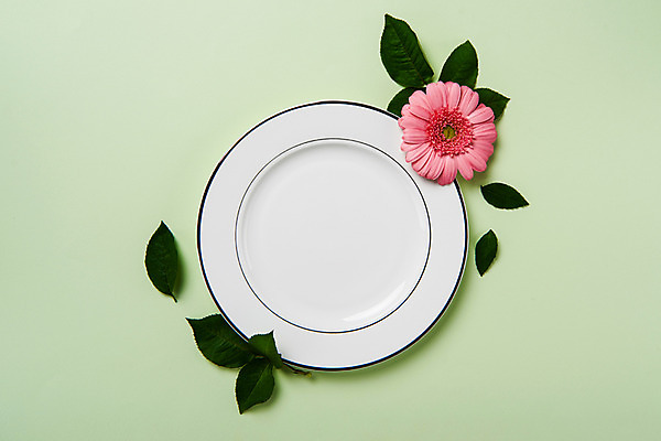 포토 JPG 스튜디오촬영 그릇 꽃 백그라운드 잎 한송이 프레임 실내 사람없음 거베라 국내포토 식물 1 식기 내부 송이 파일형식