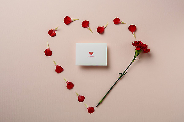 포토 JPG 스튜디오촬영 꽃잎 꽃 백그라운드 실내 사람없음 하트 감사카드 어버이날 스승의날 카네이션 국내포토 모양 식물 기념일 카드_감사 내부 파일형식