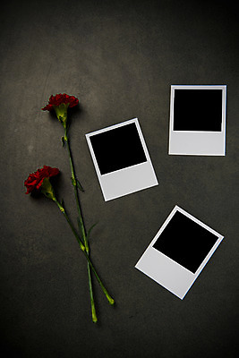 포토 JPG 스튜디오촬영 꽃 백그라운드 실내 사람없음 어버이날 스승의날 두송이 카네이션 감사 폴라로이드사진 세장 국내포토 식물 기념일 감정 2 3 내부 폴라로이드 파일형식