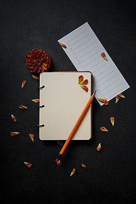 포토 JPG 스튜디오촬영 꽃잎 꽃 백그라운드 프레임 실내 사람없음 연필 메모지 달리아 체크리스트 국내포토 식물 학용품 내부 필기구 사무용품 파일형식