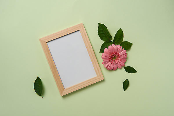 포토 JPG 스튜디오촬영 꽃 액자 백그라운드 잎 한송이 프레임 실내 액자틀 사람없음 거베라 국내포토 식물 1 틀 내부 송이 파일형식