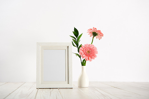 포토 JPG 스튜디오촬영 꽃 액자 백그라운드 프레임 실내 액자틀 사람없음 꽃병 두송이 거베라 국내포토 식물 2 틀 내부 파일형식
