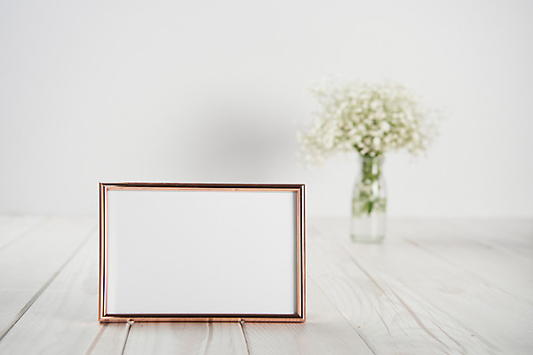 포토 JPG 스튜디오촬영 꽃 액자 백그라운드 프레임 실내 액자틀 사람없음 꽃병 안개꽃 국내포토 식물 틀 내부 한해살이풀 파일형식