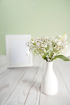 포토 JPG 스튜디오촬영 꽃 액자 백그라운드 프레임 실내 액자틀 사람없음 꽃병 백합 안개꽃 국내포토 식물 틀 내부 한해살이풀 파일형식