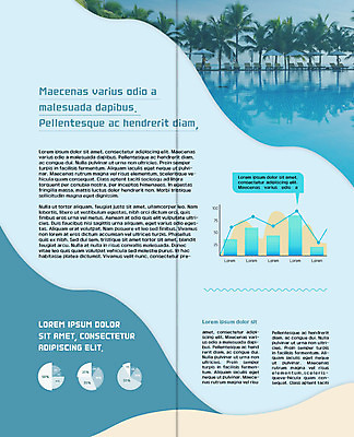 PSD 템플릿 표지디자인 북디자인 출판디자인 내지 리플렛 2단접지 북커버 수영장 팜플렛 사람없음 야자수 파라솔 막대그래프 휴양지 선베드 원그래프 이미지템플릿 나무 의자 그래프 장소 파일형식