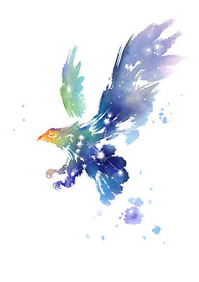 PSD 별 일러스트 캘리그라피 붓터치 사람없음 별자리 독수리 번짐 독수리자리 국내일러스트 자연요소 조류 파일형식 효과