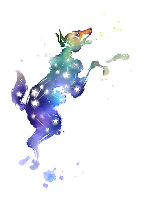 PSD 별 일러스트 캘리그라피 붓터치 사람없음 별자리 번짐 큰개자리 국내일러스트 자연요소 파일형식 효과