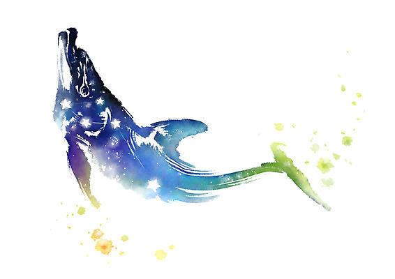 PSD 별 일러스트 캘리그라피 붓터치 사람없음 별자리 번짐 돌고래자리 국내일러스트 자연요소 파일형식 효과