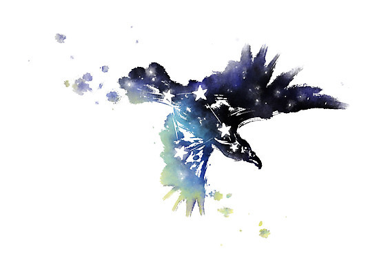 PSD 별 일러스트 캘리그라피 붓터치 사람없음 별자리 번짐 독수리자리 국내일러스트 자연요소 파일형식 효과