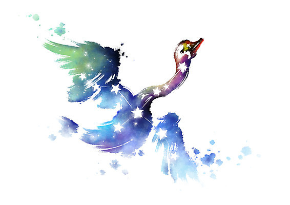 PSD 별 일러스트 캘리그라피 붓터치 사람없음 별자리 번짐 백조자리 국내일러스트 자연요소 파일형식 효과