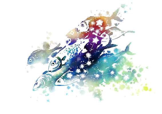 PSD 별 일러스트 캘리그라피 붓터치 사람없음 별자리 번짐 물고기자리 국내일러스트 자연요소 파일형식 효과