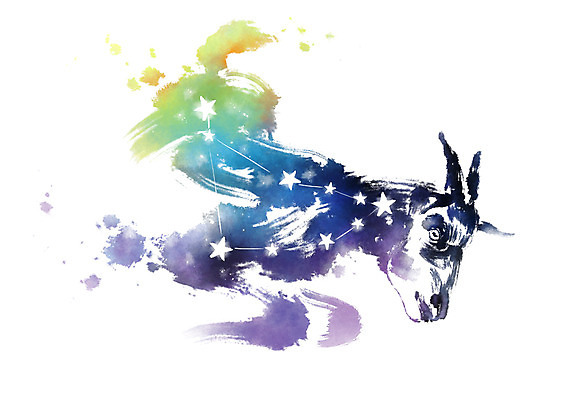 PSD 별 일러스트 캘리그라피 붓터치 사람없음 별자리 번짐 염소자리 국내일러스트 자연요소 파일형식 효과