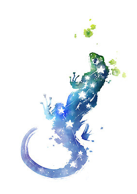 PSD 별 일러스트 캘리그라피 붓터치 사람없음 별자리 도마뱀 번짐 도마뱀자리 국내일러스트 자연요소 파충류 파일형식 효과