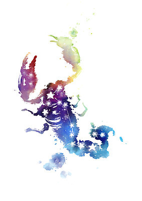 PSD 별 일러스트 캘리그라피 붓터치 사람없음 별자리 번짐 전갈자리 국내일러스트 자연요소 파일형식 효과