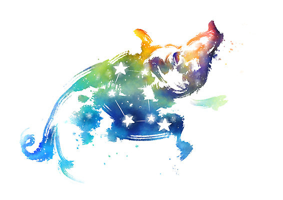 PSD 별 일러스트 캘리그라피 붓터치 사람없음 별자리 번짐 멧돼지 국내일러스트 자연요소 포유류 파일형식 효과