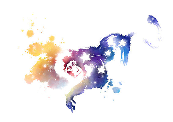 PSD 별 일러스트 캘리그라피 붓터치 사람없음 별자리 원숭이 번짐 국내일러스트 자연요소 포유류 파일형식 효과