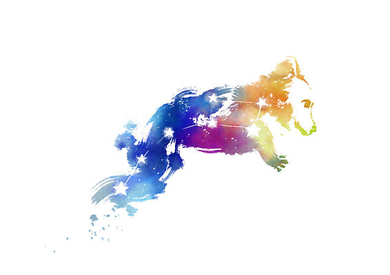 PSD 별 일러스트 캘리그라피 붓터치 사람없음 별자리 번짐 작은곰자리 국내일러스트 자연요소 파일형식 효과