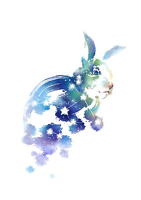 PSD 별 일러스트 캘리그라피 붓터치 사람없음 별자리 번짐 토끼자리 국내일러스트 자연요소 파일형식 효과