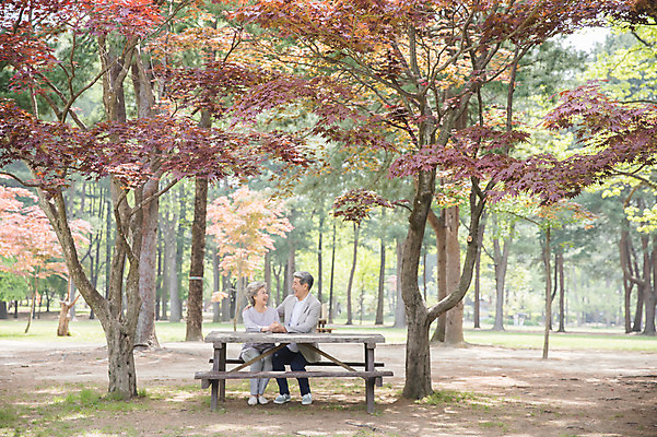 포토 JPG 주간 전신 응시 여자 노년 남자 벤치 단풍나무 미소 사람 앉기 야외 두명 앞모습 실버라이프 마주보기 손잡기 노부부 한국인 60대 숲 70대 남이섬 야외테이블 노인만 국내포토 자연요소 나무 라이프스타일 부부 시선 뷰포인트 섬 단풍 의자 모션 탁자 표정 동양인 성인 강원도 성인만 파일형식