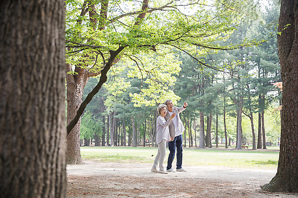 포토 JPG 주간 전신 나무 여자 노년 남자 미소 사람 야외 두명 옆모습 실버라이프 걷기 손잡기 노부부 산책 한국인 가리킴 60대 숲속 나무기둥 70대 남이섬 흙길 노인만 국내포토 자연요소 식물 라이프스타일 부부 길 뷰포인트 섬 모션 휴식 표정 동양인 손짓 성인 흙 숲 강원도 성인만 파일형식
