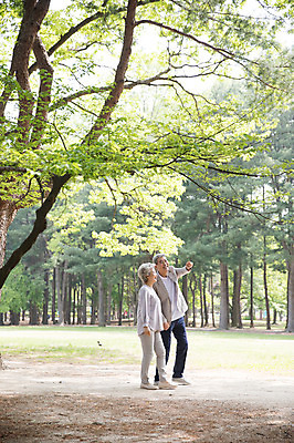 포토 JPG 주간 전신 나무 여자 노년 남자 미소 사람 야외 두명 옆모습 실버라이프 걷기 손잡기 노부부 산책 한국인 가리킴 60대 숲속 70대 남이섬 흙길 노인만 국내포토 자연요소 식물 라이프스타일 부부 길 뷰포인트 섬 모션 휴식 표정 동양인 손짓 성인 흙 숲 강원도 성인만 파일형식