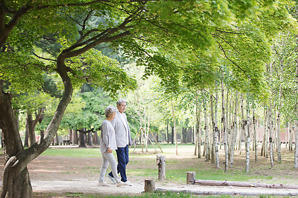 포토 JPG 주간 전신 나무 응시 여자 노년 남자 사람 야외 두명 옆모습 실버라이프 걷기 노부부 산책 한국인 60대 숲속 70대 숲길 나무밑둥 남이섬 노인만 국내포토 자연요소 식물 라이프스타일 부부 시선 길 뷰포인트 섬 모션 휴식 동양인 성인 숲 강원도 성인만 파일형식