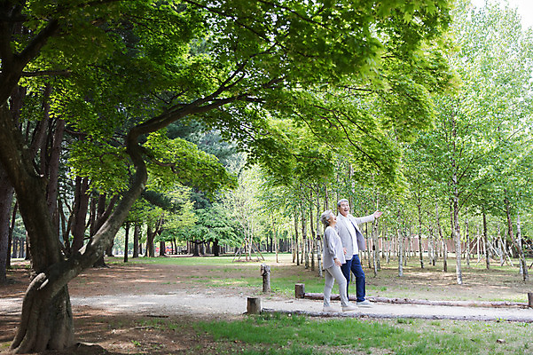 포토 JPG 주간 전신 나무 여자 노년 남자 팔벌리기 미소 사람 야외 두명 옆모습 실버라이프 걷기 손잡기 노부부 산책 한국인 60대 숲 오솔길 70대 숲길 남이섬 노인만 국내포토 자연요소 식물 라이프스타일 부부 길 뷰포인트 섬 모션 휴식 표정 동양인 성인 강원도 성인만 파일형식