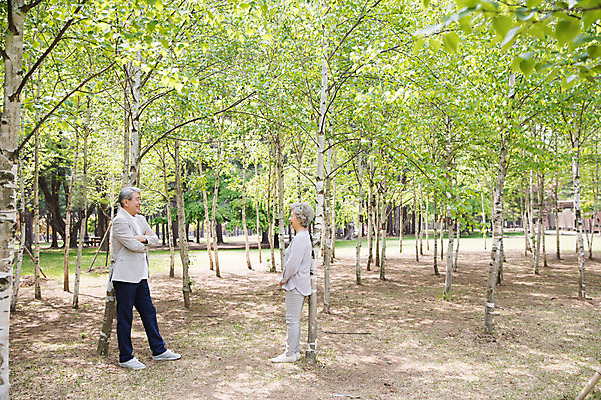 포토 JPG 주간 전신 나무 여자 노년 남자 미소 사람 야외 두명 옆모습 실버라이프 마주보기 팔짱 노부부 기댐 한국인 60대 숲 70대 남이섬 노인만 국내포토 자연요소 식물 라이프스타일 부부 뷰포인트 섬 모션 표정 동양인 성인 강원도 성인만 파일형식