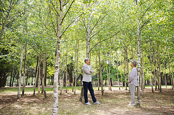포토 JPG 주간 전신 나무 여자 노년 남자 미소 사람 야외 두명 옆모습 실버라이프 마주보기 팔짱 노부부 기댐 한국인 60대 숲속 70대 남이섬 흙길 노인만 국내포토 자연요소 식물 라이프스타일 부부 길 뷰포인트 섬 모션 표정 동양인 성인 흙 숲 강원도 성인만 파일형식