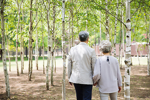 포토 JPG 주간 나무 여자 노년 남자 사람 상반신 야외 두명 뒷모습 실버라이프 걷기 손잡기 노부부 한국인 60대 숲속 70대 남이섬 흙길 노인만 국내포토 자연요소 식물 라이프스타일 부부 길 뷰포인트 섬 모션 동양인 성인 흙 숲 강원도 성인만 파일형식