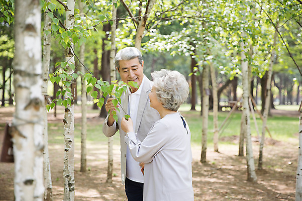 포토 JPG 주간 나무 응시 여자 노년 남자 미소 사람 상반신 야외 두명 앞모습 옆모습 실버라이프 노부부 한국인 나뭇가지 잡기 60대 숲 70대 숲길 남이섬 노인만 국내포토 자연요소 식물 라이프스타일 부부 시선 길 뷰포인트 섬 모션 표정 동양인 성인 강원도 성인만 파일형식