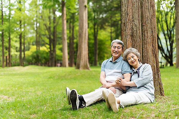 포토 JPG 주간 전신 나무 여자 노년 남자 행복 미소 사람 앉기 잔디 야외 두명 앞모습 실버라이프 팔짱 노부부 기댐 한국인 60대 숲 나무기둥 70대 남이섬 노인만 국내포토 자연요소 식물 라이프스타일 부부 감정 뷰포인트 섬 모션 표정 동양인 성인 강원도 성인만 파일형식