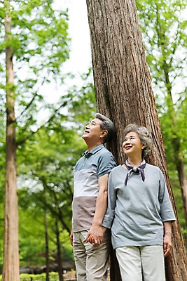 포토 JPG 주간 나무 응시 여자 노년 남자 미소 사람 상반신 야외 두명 앞모습 옆모습 실버라이프 손잡기 노부부 기댐 한국인 올려보기 60대 숲 나무기둥 70대 남이섬 노인만 국내포토 자연요소 식물 라이프스타일 부부 시선 뷰포인트 섬 모션 표정 동양인 성인 강원도 성인만 파일형식