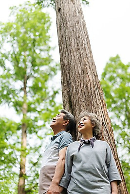 포토 JPG 주간 나무 응시 여자 노년 남자 로우앵글 하늘 서기 사람 상반신 야외 두명 앞모습 옆모습 실버라이프 손잡기 노부부 한국인 올려보기 60대 나무기둥 70대 남이섬 노인만 국내포토 자연요소 식물 라이프스타일 부부 시선 뷰포인트 섬 모션 동양인 성인 강원도 성인만 파일형식