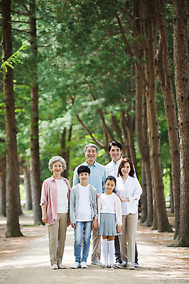 포토 JPG 주간 전신 나무 부부 응시 여자 노년 남자 어린이 가족 대가족 남매 가족애 서기 미소 웃음 사람 여러명 성인 야외 앞모습 10대 30대 부모 산책로 한국인 자녀 가족라이프 60대 손주 70대 남이섬 조부모 어깨에손 국내포토 자연요소 식물 라이프스타일 커플 시선 길 뷰포인트 섬 다수 관계 모션 청소년 표정 사랑 동양인 장년 강원도 파일형식