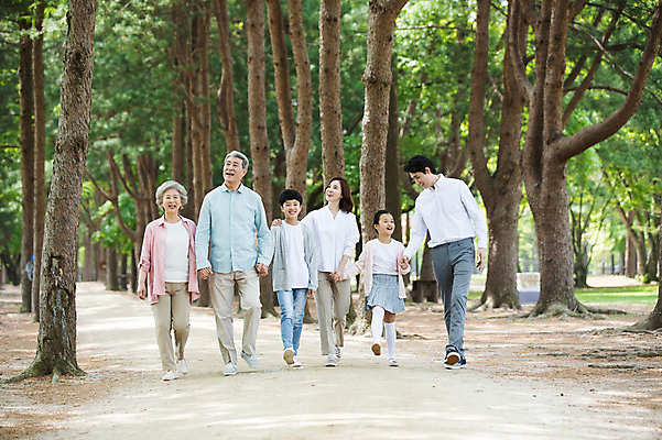 포토 JPG 주간 전신 나무 부부 응시 여자 노년 남자 어린이 가족 대가족 남매 가족애 사람 여러명 성인 야외 앞모습 10대 30대 부모 걷기 손잡기 산책 산책로 한국인 자녀 가족라이프 60대 손주 즐거움 70대 남이섬 조부모 어깨에손 국내포토 자연요소 식물 라이프스타일 커플 시선 감정 길 뷰포인트 섬 다수 관계 모션 청소년 휴식 사랑 동양인 장년 강원도 파일형식